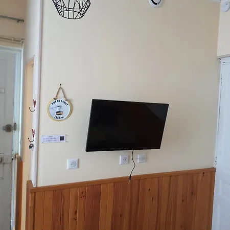 Apartment Geraniums 4 *