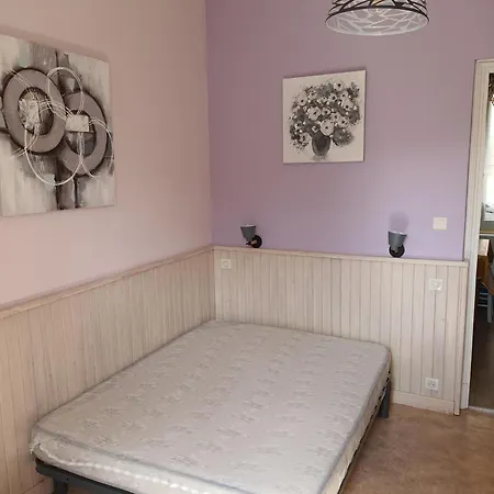 Apartment Geraniums 4
